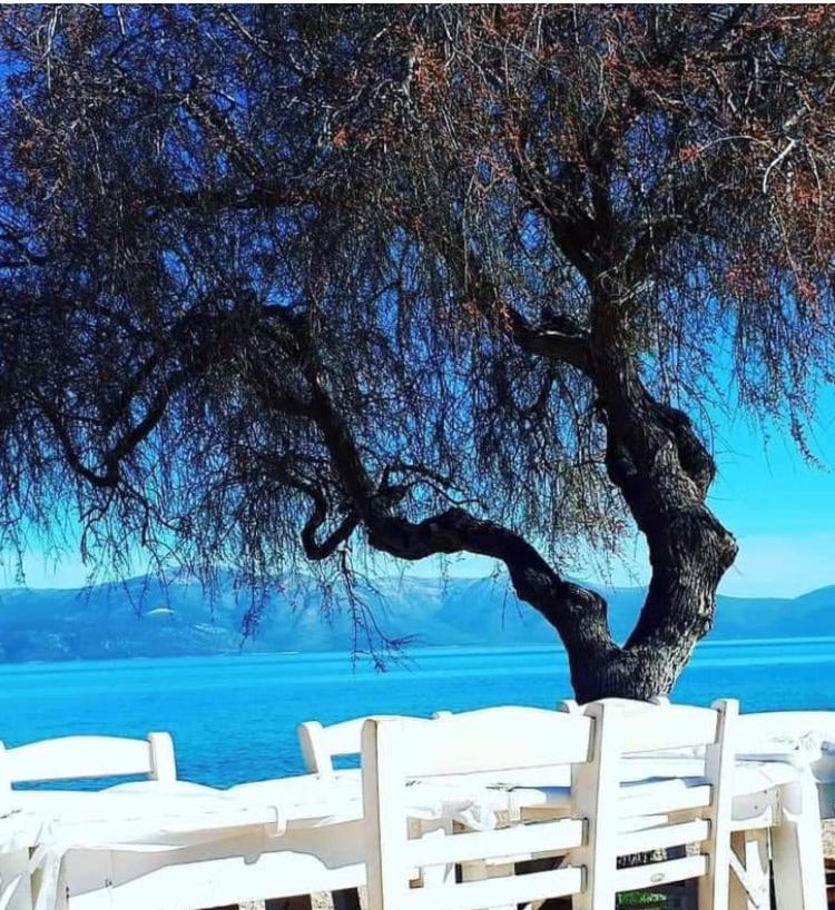 Willa Eratous Seaside House Agii Dimitrios ke Panteleimon Zewnętrze zdjęcie
