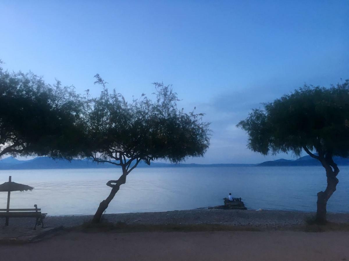 Willa Eratous Seaside House Agii Dimitrios ke Panteleimon Zewnętrze zdjęcie