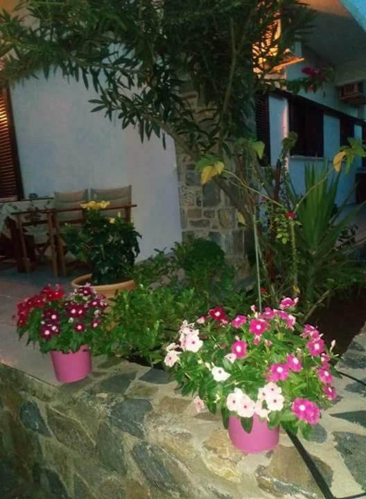 Willa Eratous Seaside House Agii Dimitrios ke Panteleimon Zewnętrze zdjęcie
