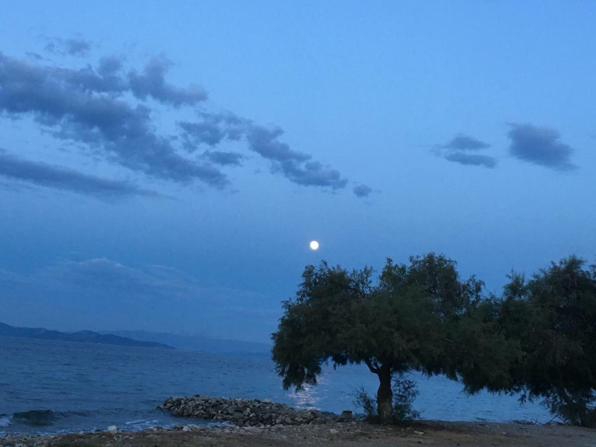 Willa Eratous Seaside House Agii Dimitrios ke Panteleimon Zewnętrze zdjęcie